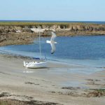 L’île Dumet en Deltania 20